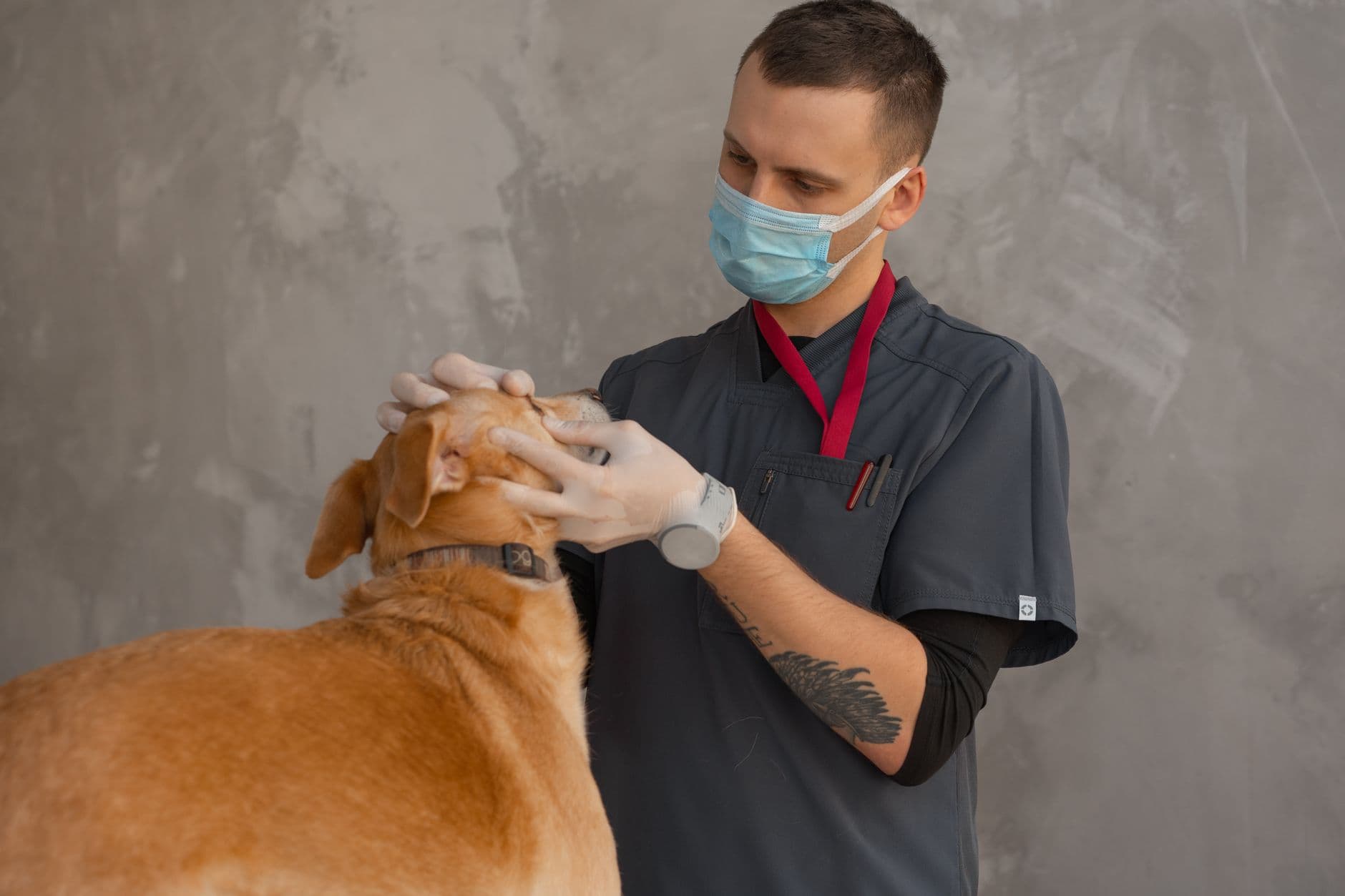 Northgate Veterinary Referral Centre photo 1
